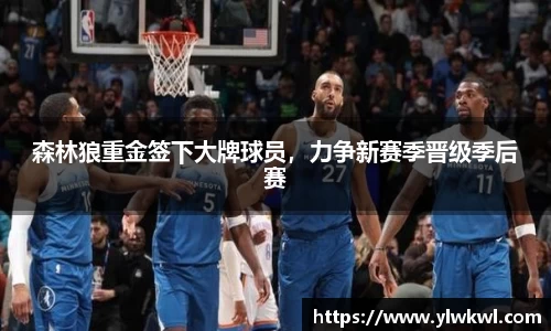 森林狼重金签下大牌球员，力争新赛季晋级季后赛