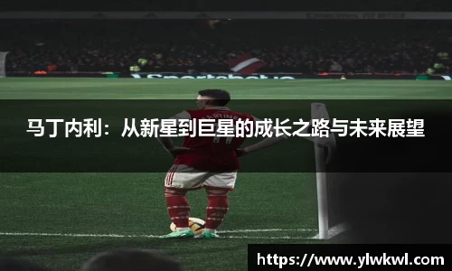 马丁内利：从新星到巨星的成长之路与未来展望